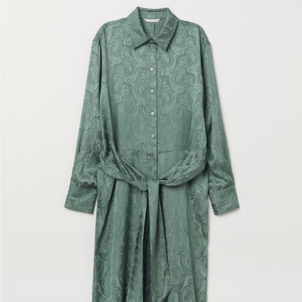 H&M Green Jacquard Paisley Print Weave Button Up Lace Dress